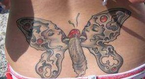 farfalla penis
